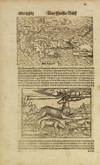 Antique Maps, Münster, Cyprus, 1574: Cyprus