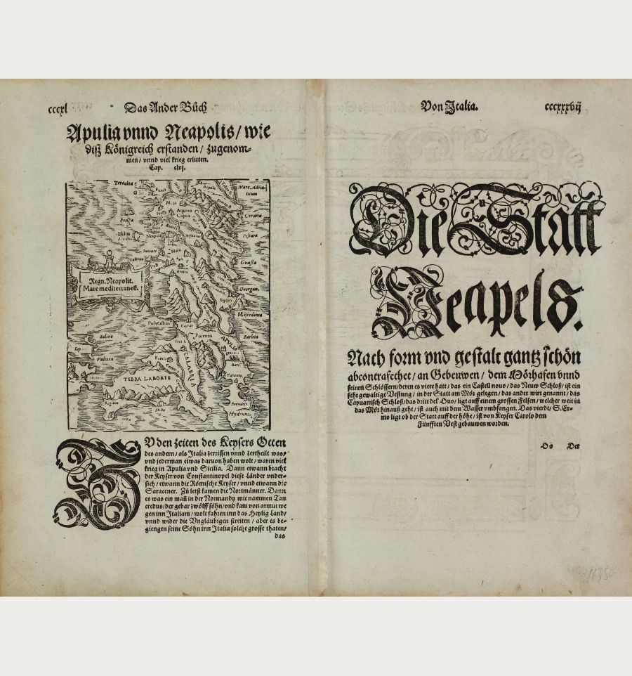 Neapels - Der Koenigliche Statt Neapels abcontrafehtung. / Regn