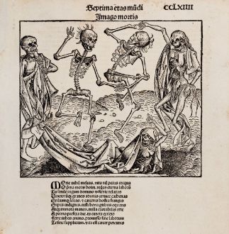 Grafiken, Schedel, Totentanz, 1493: Imago Mortis