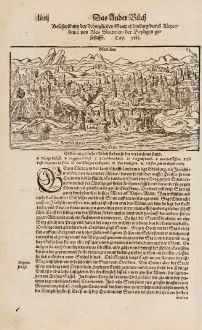 Antique Maps, Münster, British Isles, Scotland, Edinburgh, 1574: Beschreibung der königlichen Statt Edinburg durch Alexandrum von Ales / Doctorem der Heyligen Geschrifft