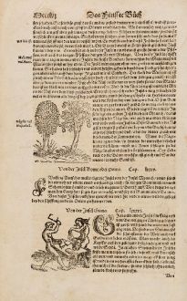 Graphics, Münster, Cannibalism, 1574: Von der Insel Giava