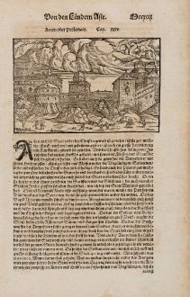 Antique Maps, Münster, Holy Land, Akko, Acre, 1574: Accon oder Ptolemais