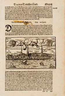 Antike Landkarten, Münster, Baltikum, Lettland, Riga, 1574: Riga