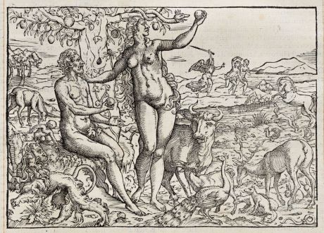 Graphics, de Belleforest, Adam and Eve, 1575: [Adam and Eve]