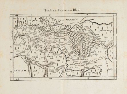 Antike Landkarten, Fries, Deutschland, Baden-Württemberg, Pfalz, Schwarzwald: Tabula nova provinciarum Rheni / [Lotharingia]