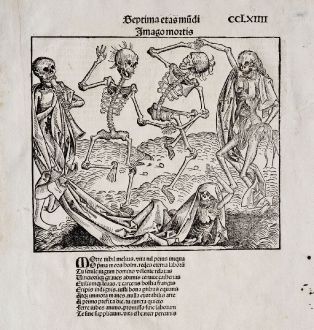 Grafiken, Schedel, Totentanz, 1493: Imago Mortis