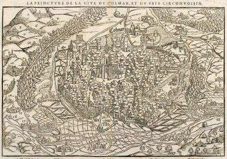 Antike Landkarten, Münster, Frankreich, Elsass, Colmar, 1550: La Peincture de la Cite de Colmar, et du Pays Circonvoisin.